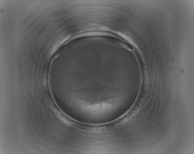 X0000068890889200605122031