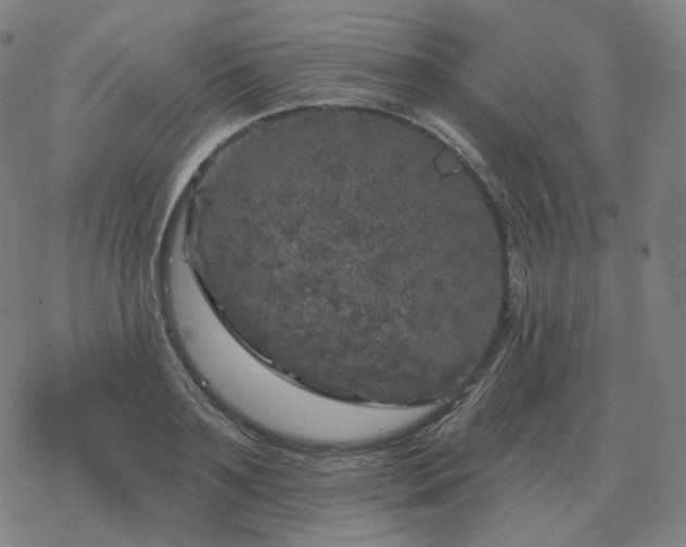 X0000068890891200605122031