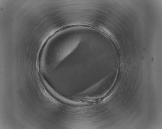 X0000068890892200605122031