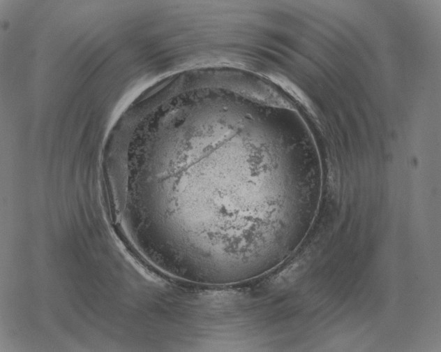 X0000068890894200605122031