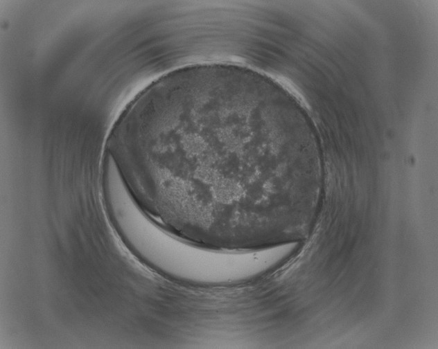 X0000068890895200605122031