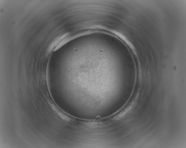 X0000068890897200605122031