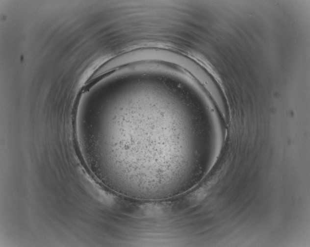 X0000068890898200605122031