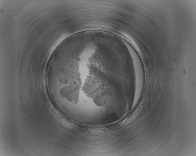 X0000068890899200605122031