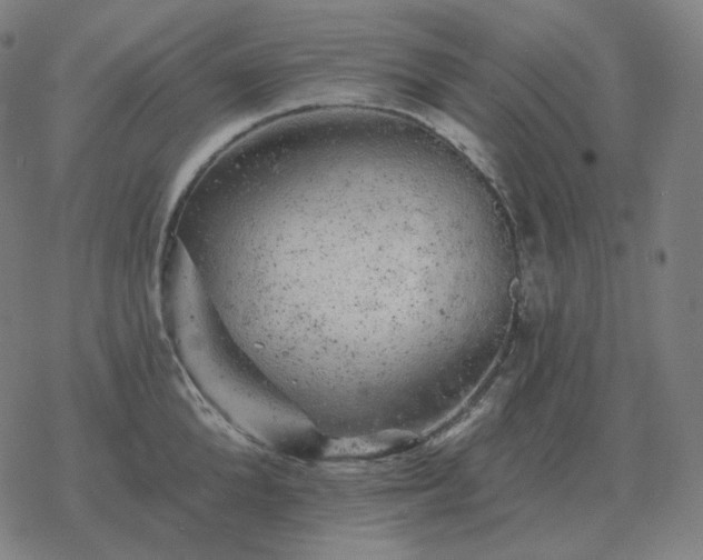 X0000068890904200605122031