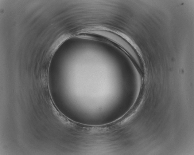 X0000068890905200605122031