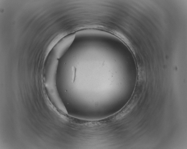 X0000068890906200605122031