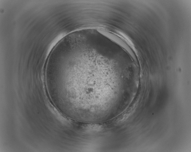 X0000068890907200605122031