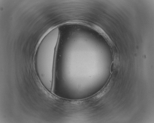 X0000068890908200605122031