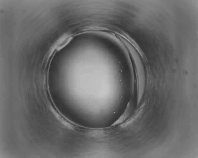 X0000068890909200605122030