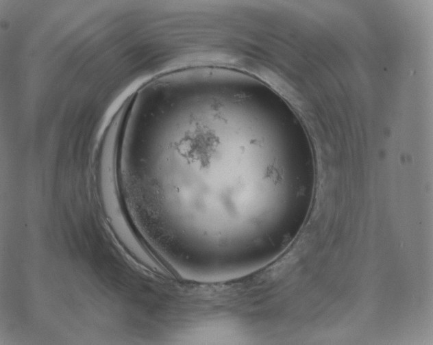 X0000068890912200605122030