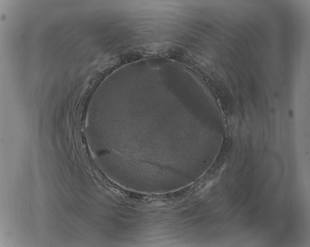 X0000068890913200605122030