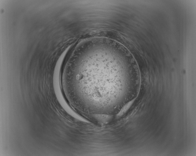 X0000068890914200605122030