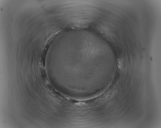 X0000068890915200605122030