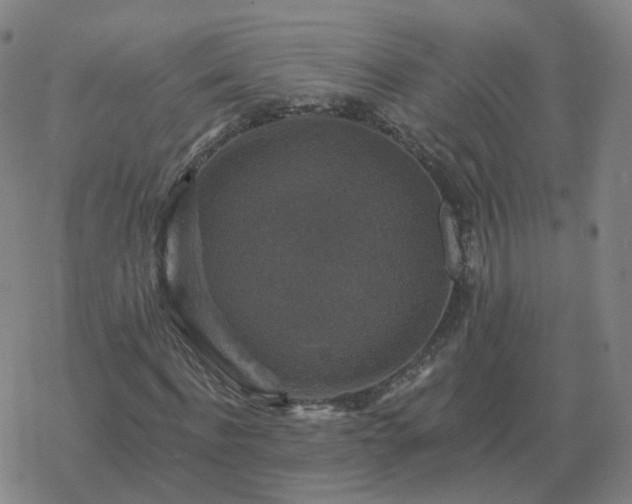 X0000068890916200605122030