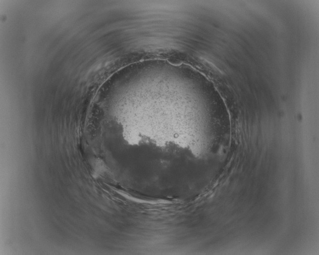 X0000068890917200605122030