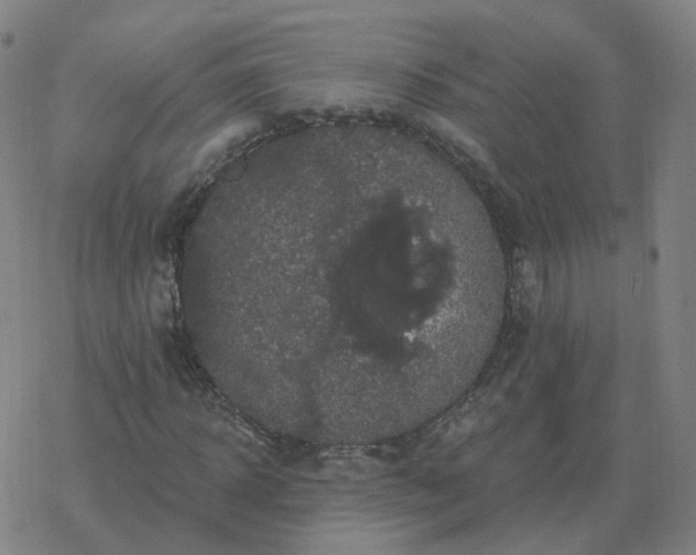 X0000068890918200605122030