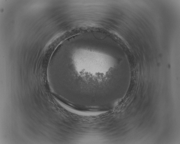 X0000068890919200605122030