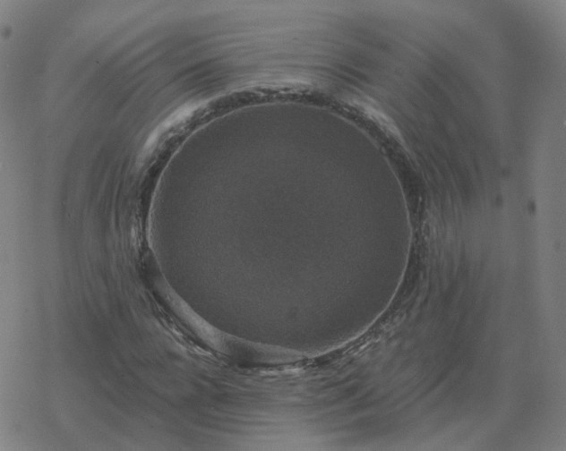 X0000068890920200605122030