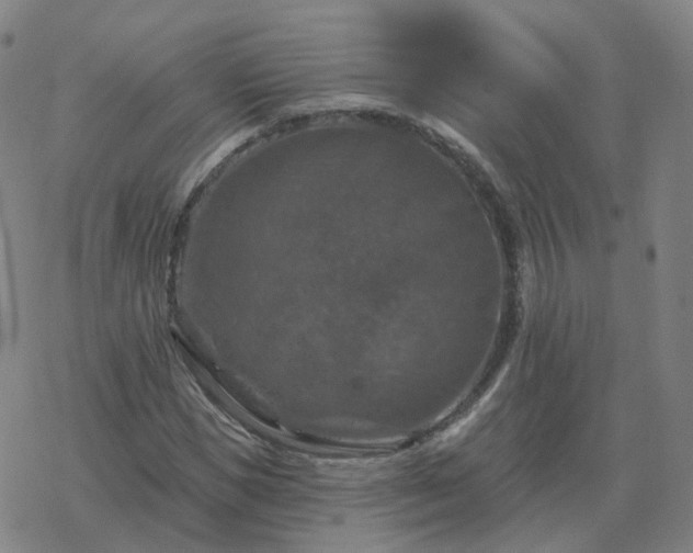 X0000068890921200605122030