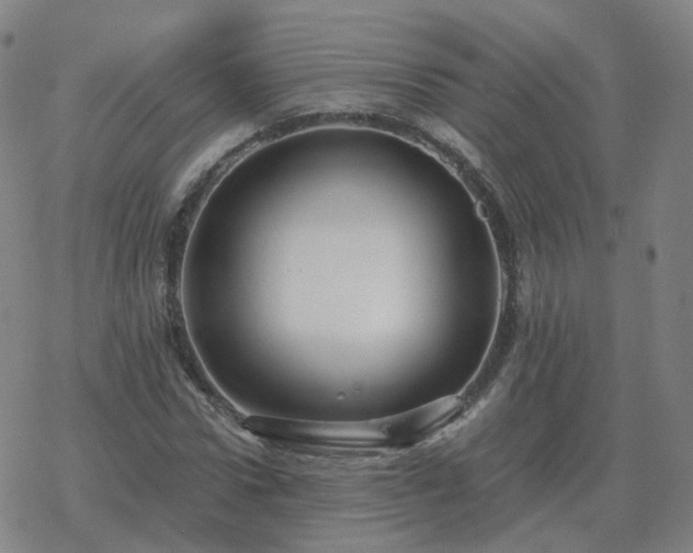 X0000068890922200605122030