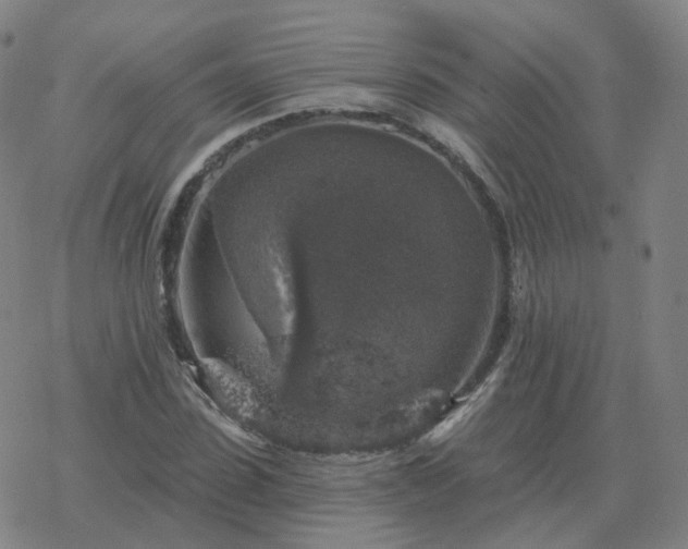 X0000068890923200605122030