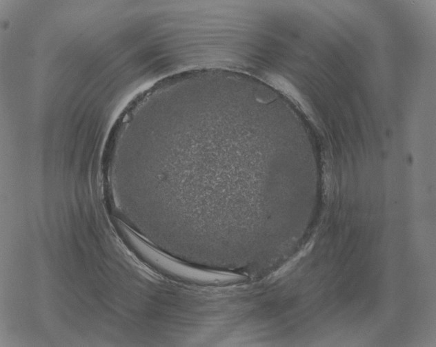 X0000068890924200605122030