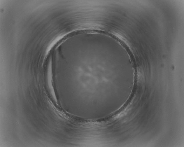 X0000068890925200605122030