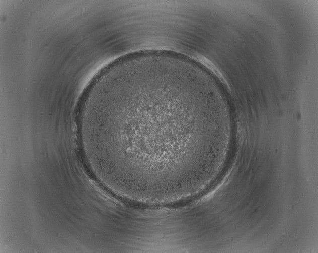 X0000068890926200605122030