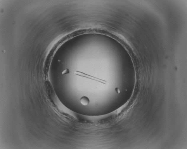 X0000068890927200605122030