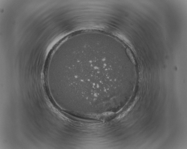 X0000068890928200605122030