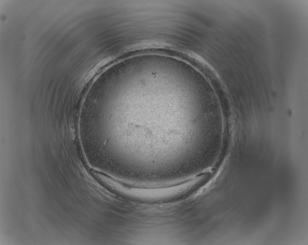 X0000068890929200605122030