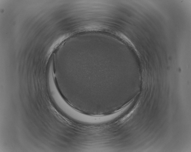 X0000068890930200605122030