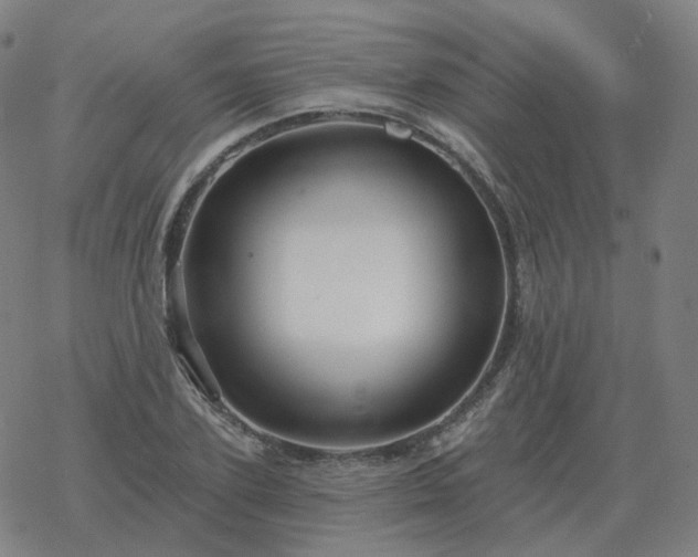 X0000068890931200605122030