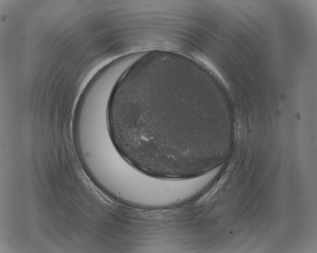 X0000068890932200605122030