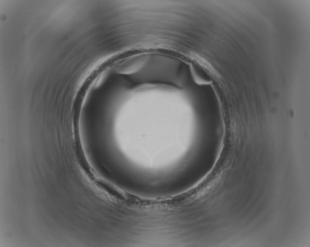 X0000068890934200605122030