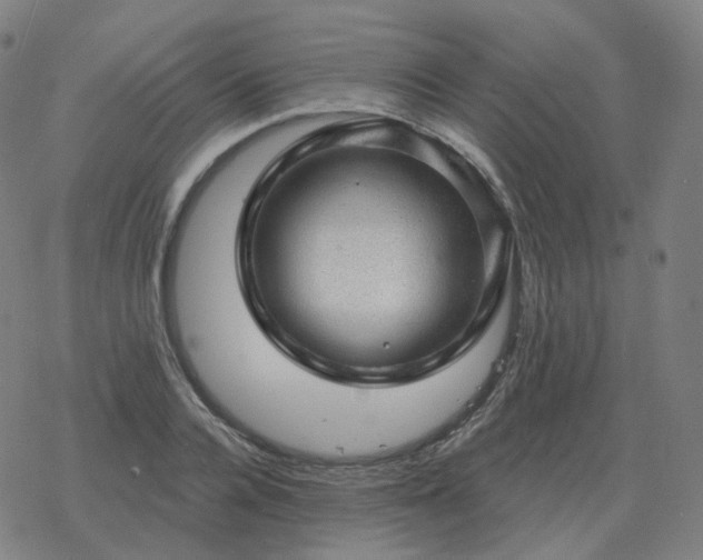 X0000068890936200605122030