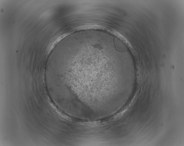 X0000068890937200605122030