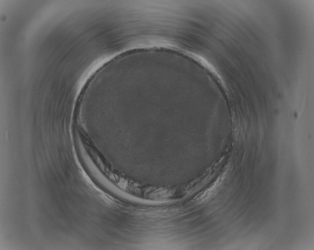 X0000068890943200605122030