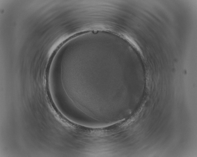 X0000068890944200605122030