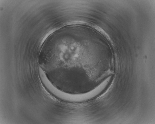 X0000068890945200605122030