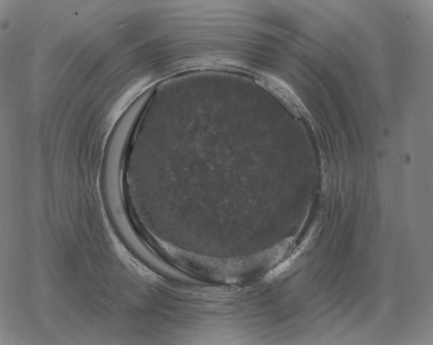 X0000068890946200605122030