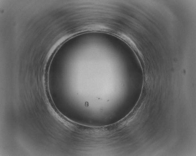 X0000068890947200605122030