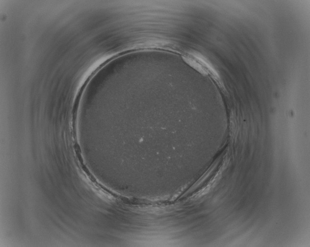 X0000068890948200605122030