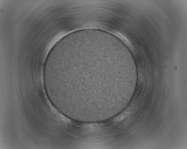 X0000068890950200605122030