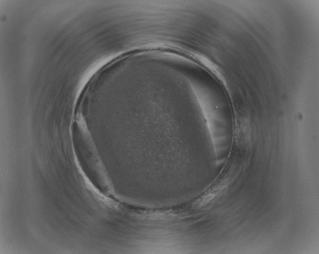 X0000068890951200605122030