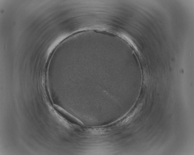 X0000068890952200605122030