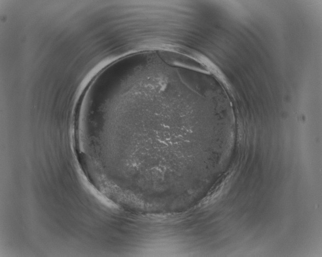 X0000068890955200605122030