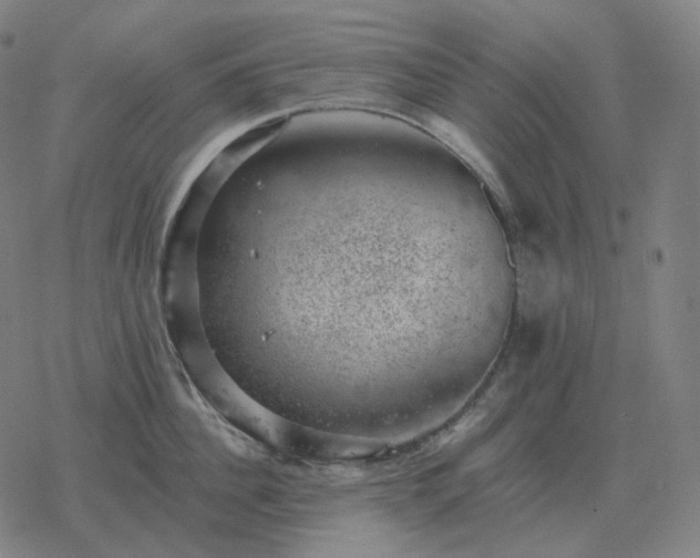 X0000068890956200605122030