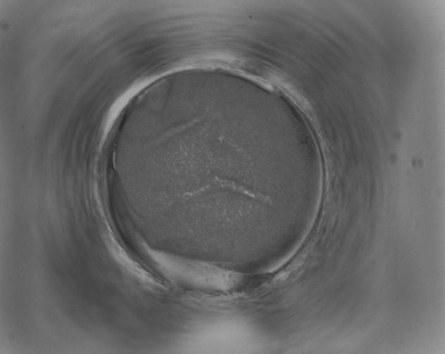 X0000068890960200605122030